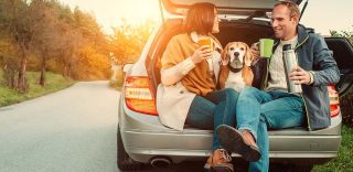 Keeping Your Pets Safe in Your Vehicle